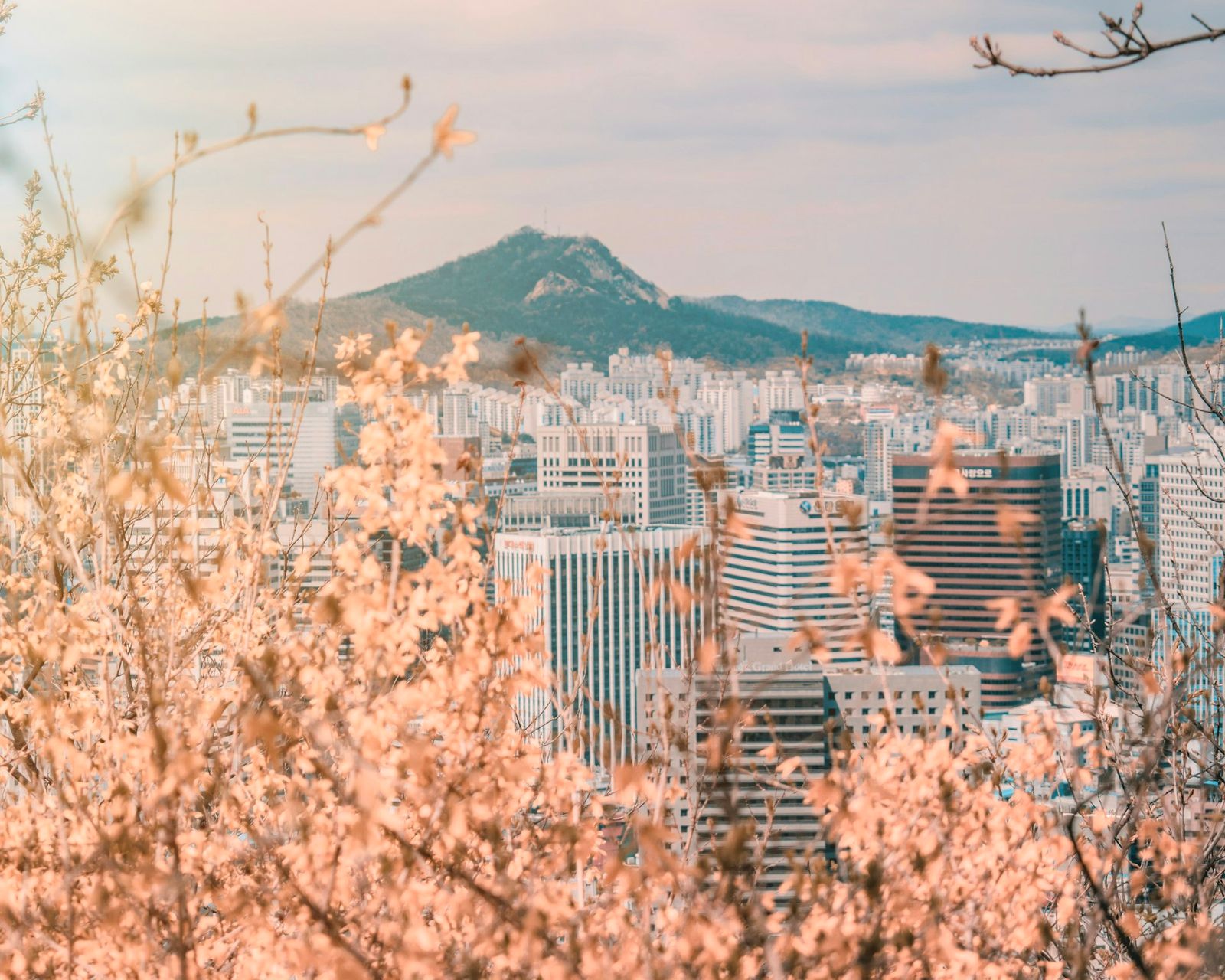 Brauchen koreanische Studierende das Studienkolleg? Kompletter Leitfaden (2026)